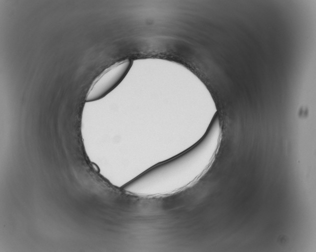 X0000112081153200909151106