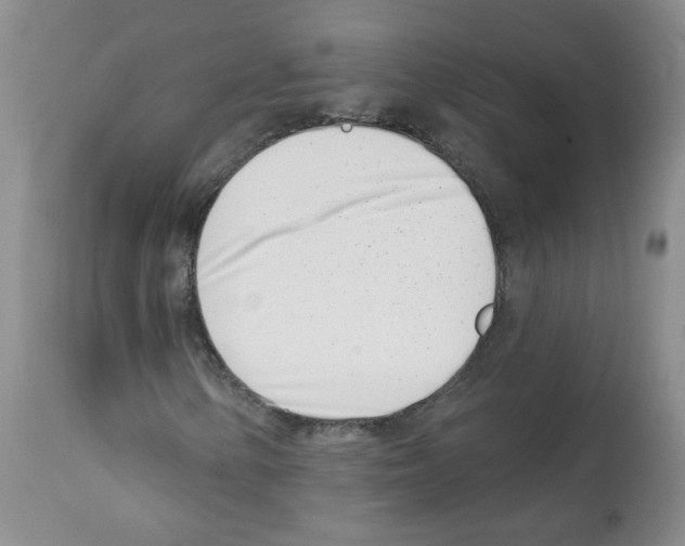 X0000112081154200909151106