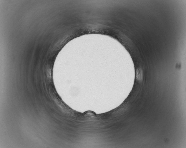 X0000112081155200909151106