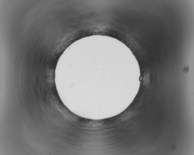 X0000112081156200909151106