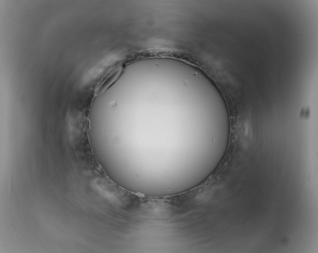 X0000112081157200909151106