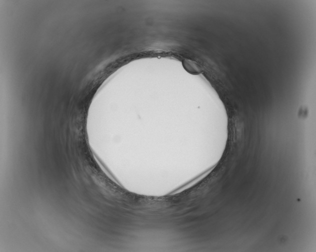 X0000112081158200909151106