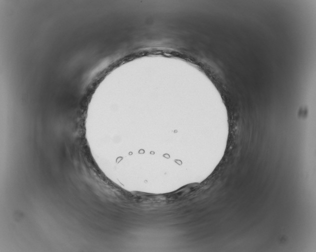X0000112081159200909151106