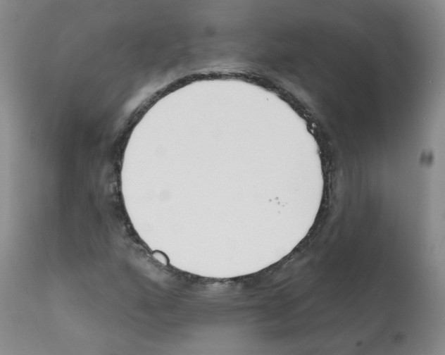 X0000112081160200909151106