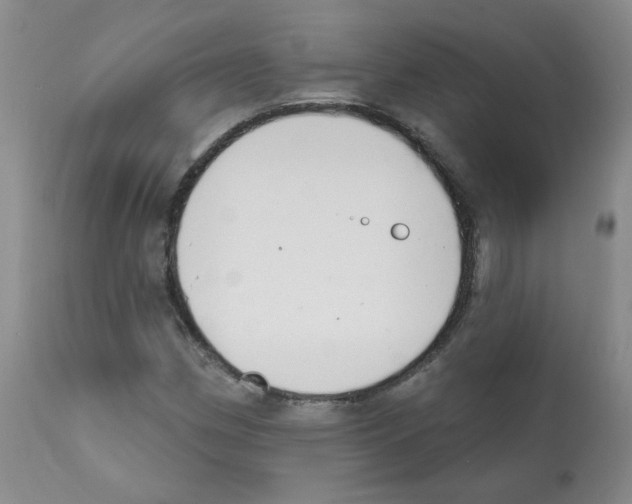 X0000112081162200909151106