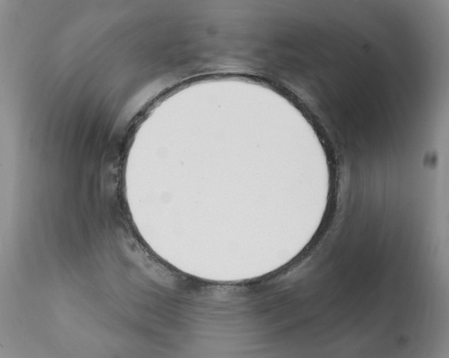 X0000112081163200909151106