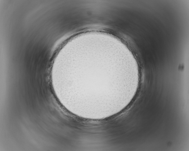 X0000112081164200909151106