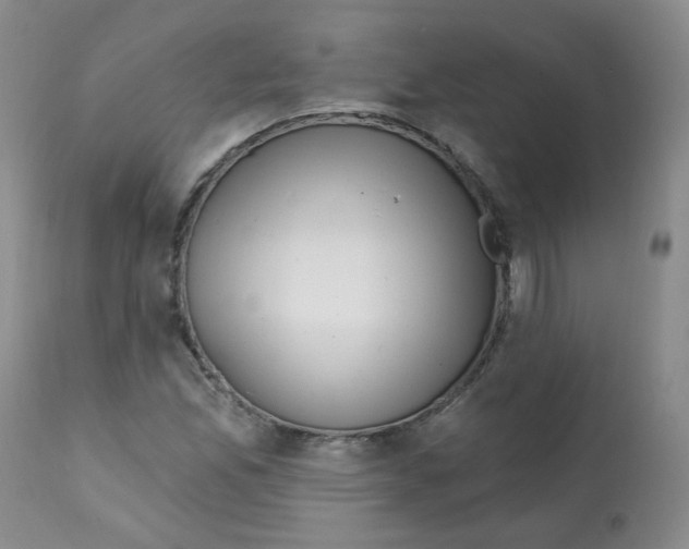 X0000112081165200909151106