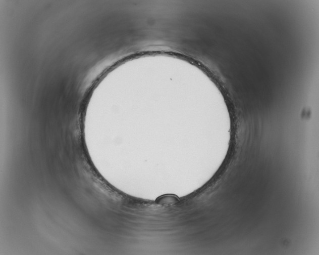 X0000112081167200909151106