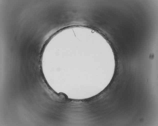 X0000112081168200909151106