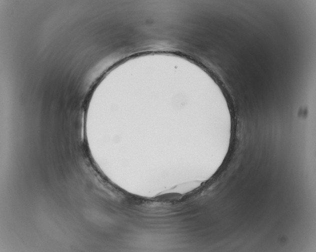 X0000112081171200909151106