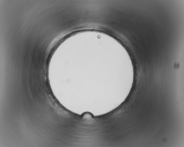 X0000112081172200909151106