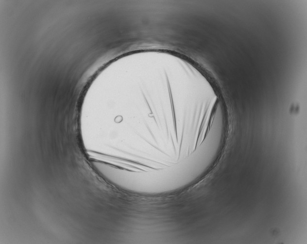 X0000112081173200909151106