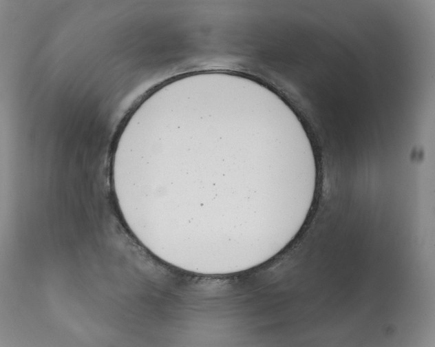 X0000112081174200909151106