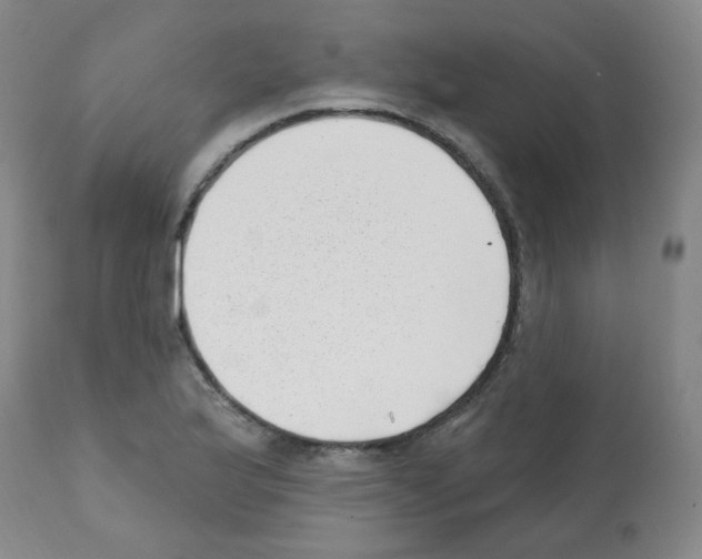 X0000112081175200909151106