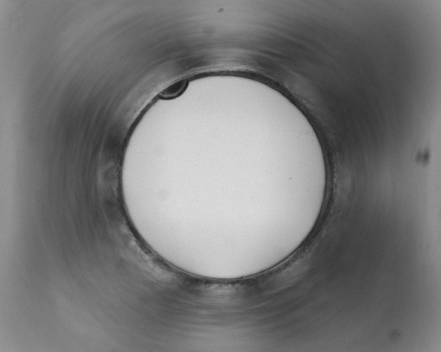 X0000112081177200909151106