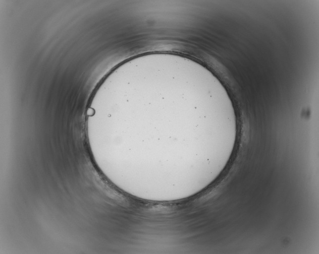 X0000112081178200909151106