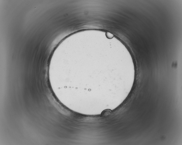 X0000112081179200909151105