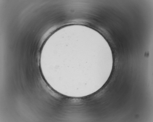 X0000112081180200909151105