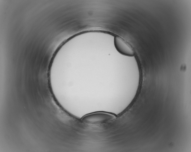 X0000112081181200909151105