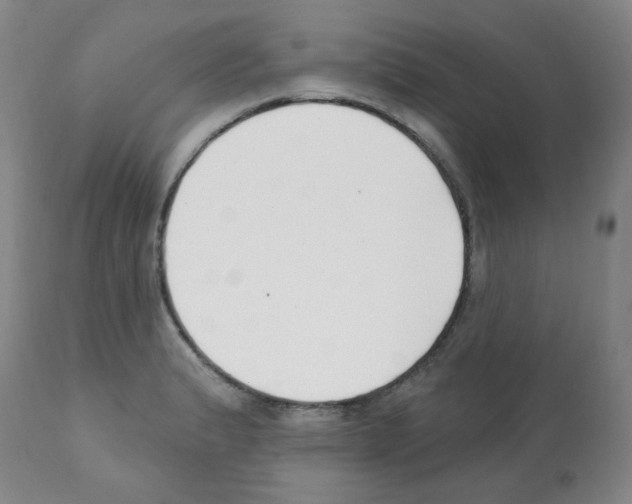 X0000112081183200909151105
