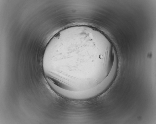 X0000112081185200909151105