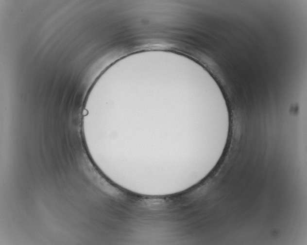X0000112081186200909151105
