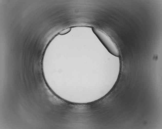 X0000112081189200909151105
