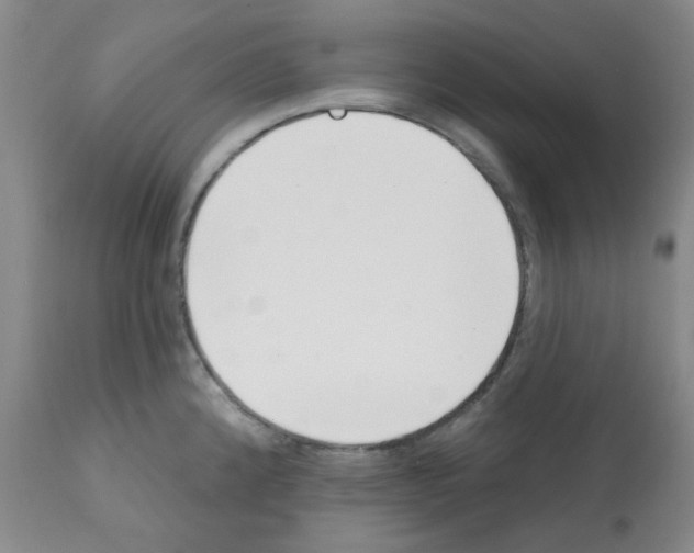 X0000112081192200909151105