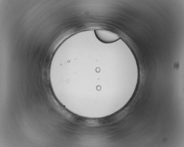 X0000112081194200909151105