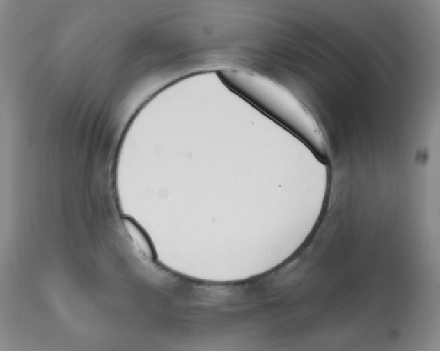 X0000112081197200909151105