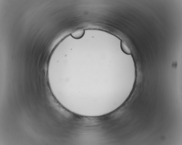 X0000112081198200909151105