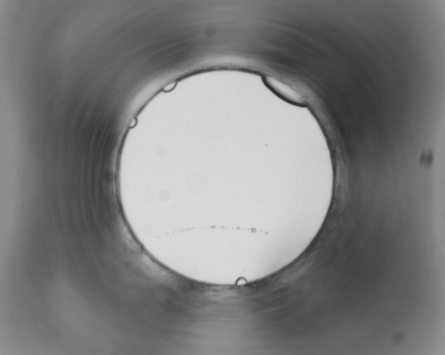 X0000112081199200909151105