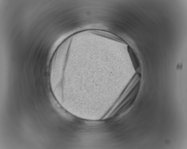 X0000112081200200909151105
