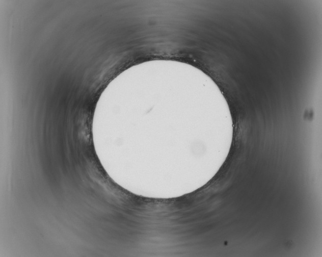 X0000112081202200909151104