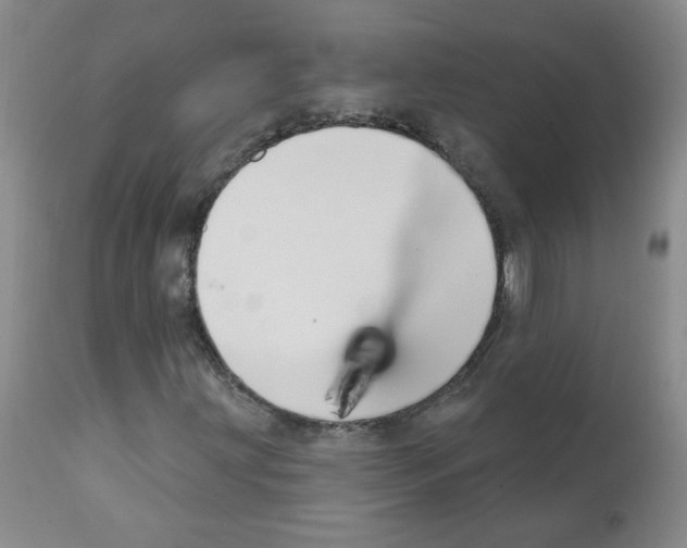 X0000112081203200909151104