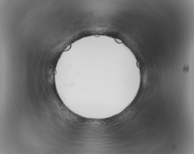 X0000112081204200909151104