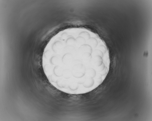 X0000112081205200909151104