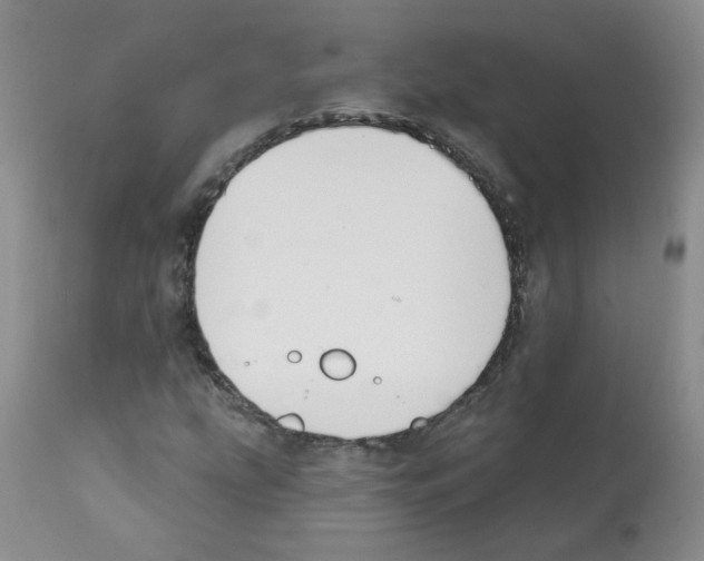 X0000112081207200909151104