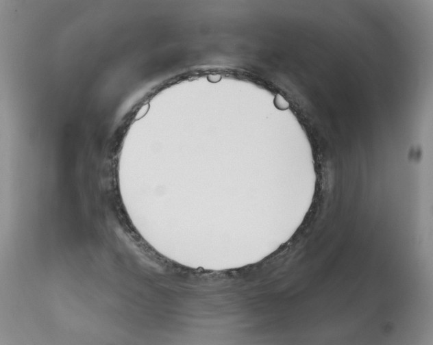 X0000112081208200909151104