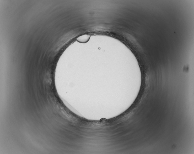 X0000112081209200909151104