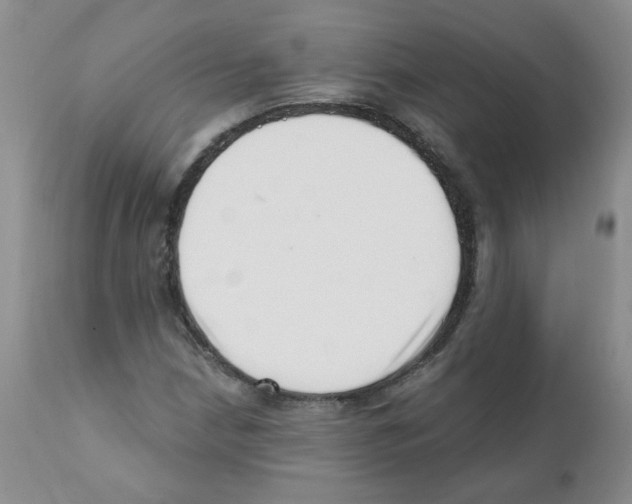 X0000112081210200909151104