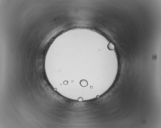 X0000112081211200909151104