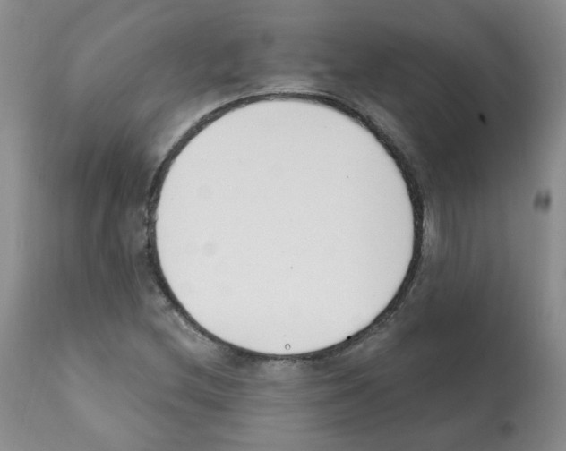 X0000112081212200909151104