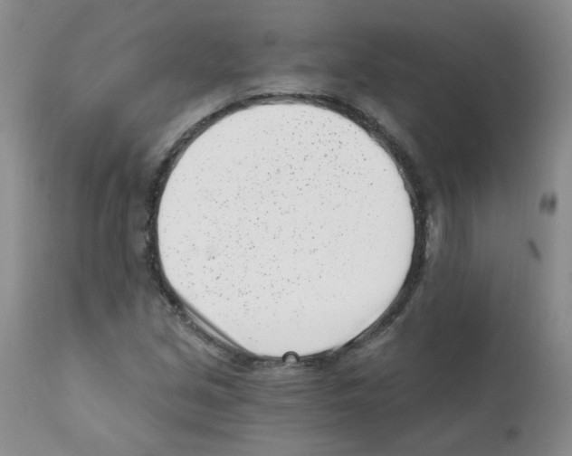 X0000112081213200909151104