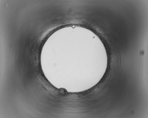X0000112081214200909151104