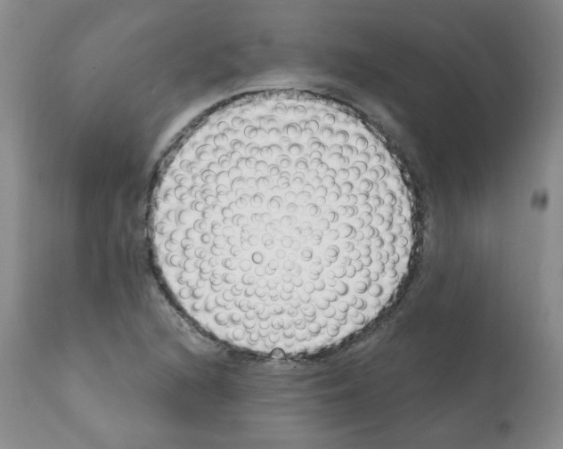 X0000112081216200909151104