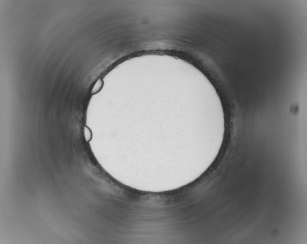 X0000112081217200909151104