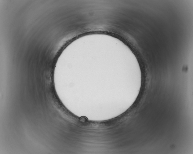 X0000112081218200909151104