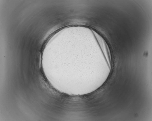 X0000112081219200909151104